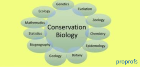 <p><strong>Merges applied &amp; theoretical biology </strong>&amp; incorporates ideas &amp; expertise from a broad range of fields towards the goal or preserving biodiveristy</p>