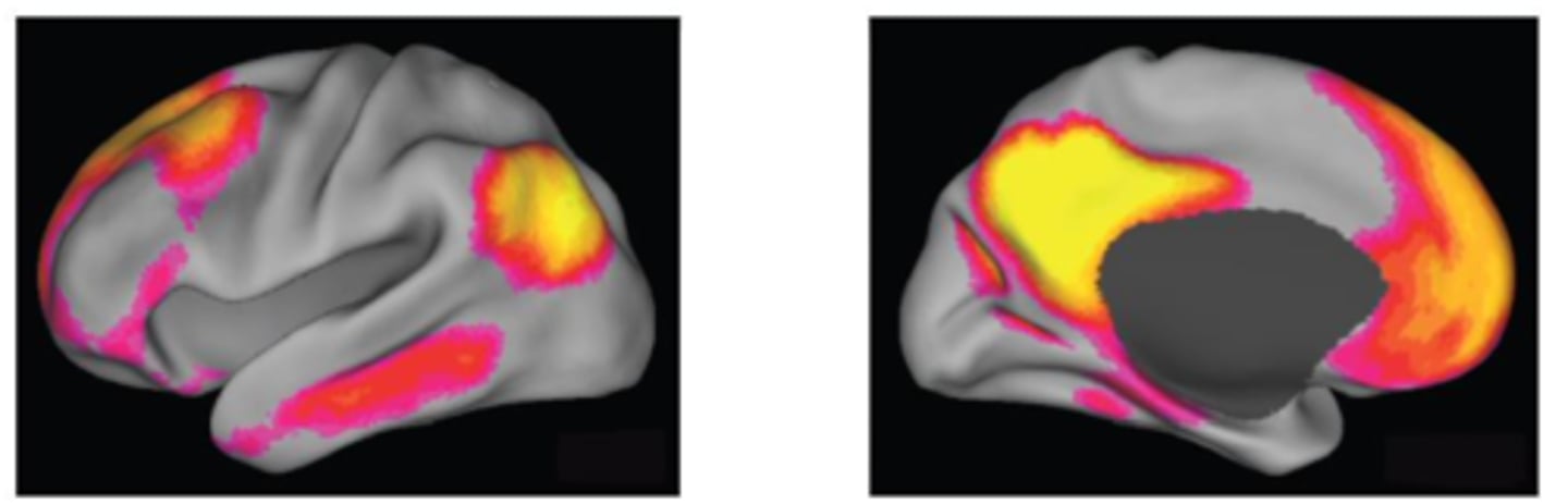 <p>The default mode network is a large-scale brain network that was first identified as the network that is consistently active when the brain is not engaged in a task, as measured through resting-state functional MRI (fMRI; Raichle et al., 2001; Shulman et al., 1997).</p>