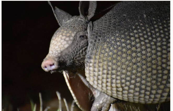 <p>What is this?</p>