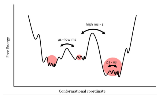 Timescales correspond to free energy barriers​