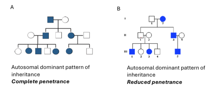 <p>The probability that a person with a particular genotype will express the related phenotype.</p><p>I.e. the likelihood that a person carrying a disease-associated genotype will develop the disease.</p><p>Ex. A person with achondroplasia allele will develop the disease, 100% penetrate </p><ol><li><p>Complete penetrance</p></li><li><p>Reduced penetrance </p></li></ol><p></p>