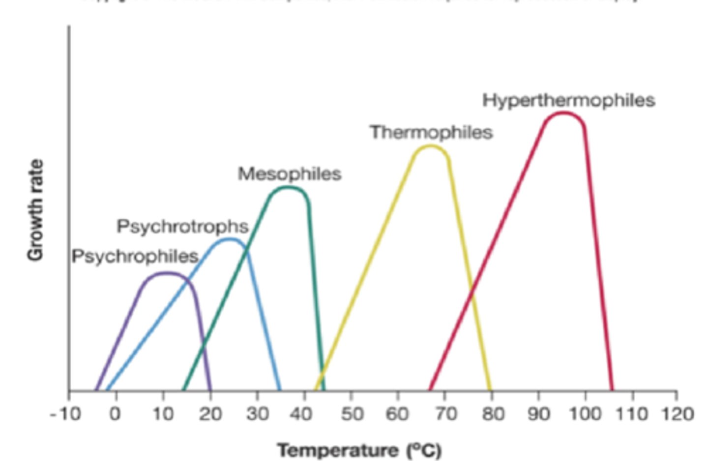 <p>Optimum temperature depends on species but have a range of what temp it can grow within → Outside of temperature= still grows but slowly</p><p>★ Psychrophiles: extremely cold environments</p><p>★ Psychrotrophs: refrigerator temperature</p><p>★ Mesophiles: body temperature environments (pathogenic bacteria)</p><p>★Thermophiles: hot tub temperature</p><p>★ Hyperthermophiles: extremely hot temperature</p>