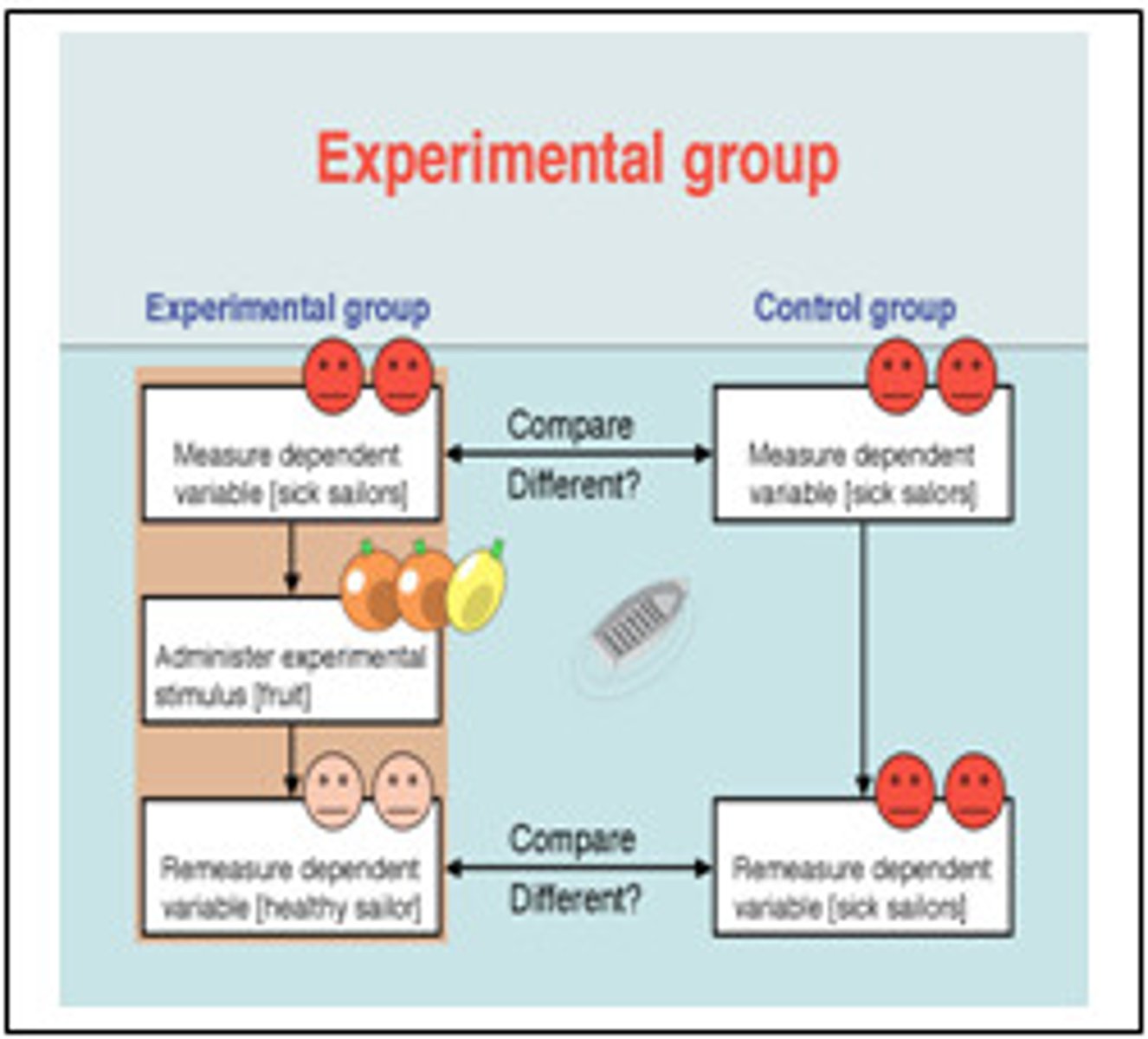 <p>the group in an experiment that does not receive the variable being tested</p>