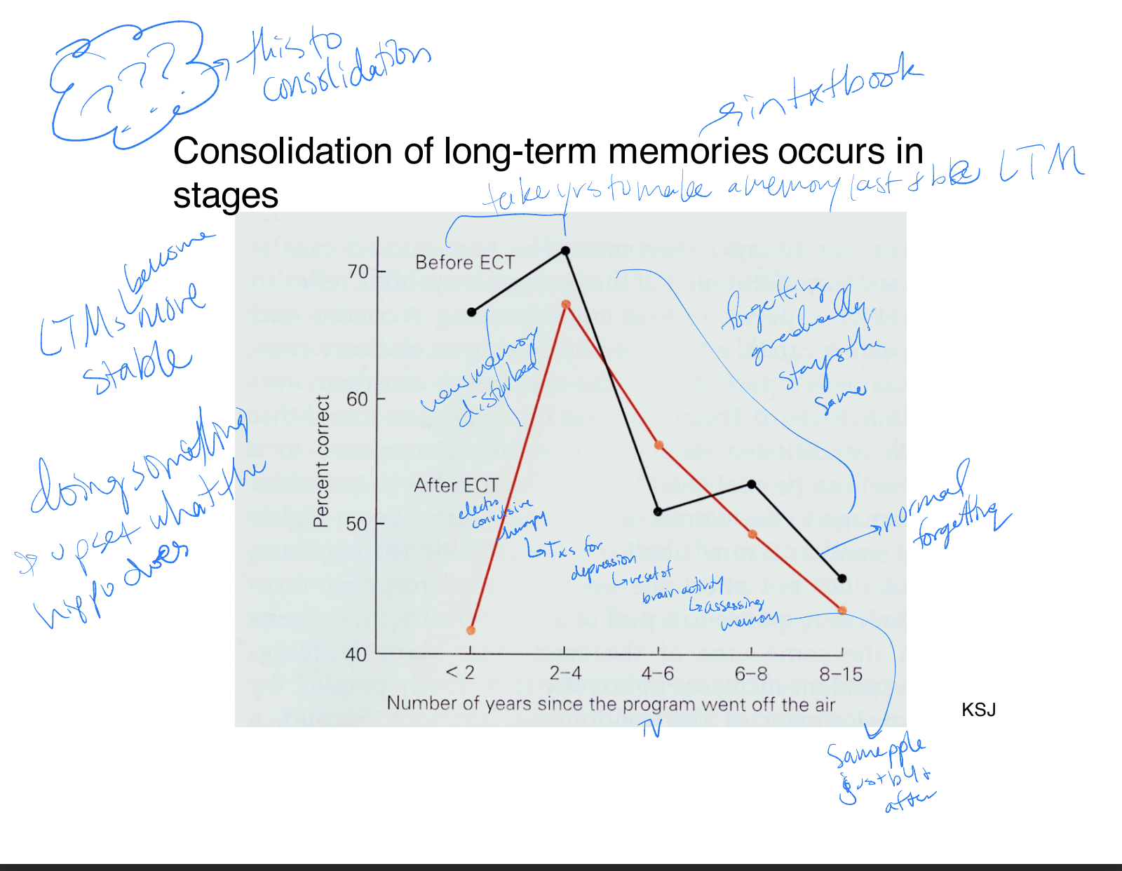 prefrontal cortex (working memory) → hippo → temporal lobe neocortex (explicit memory)

* consolidation of LTMs occurs in stages → takes time for it to become a LTM