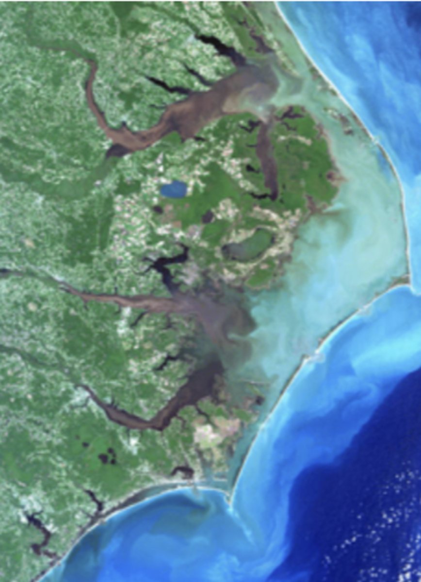 <p>blind estuaries (barrier islands separate the enclosed estuary from the open ocean)</p><p>lagoon</p>
