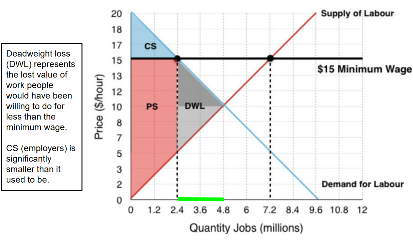 <p>Price floor policy: Requires a price above equilibrium in the market for unskilled labor</p><p>Quantity reduction: in green, a result of moving along the labor demand curve</p><p>Unemployment: Excess supply/surplus of workers created by price ceiling</p><p>In general, PS (workers) may go up or down. Workers lose</p><p>some surplus to DWL but gain surplus that used to be consumers’ (i.e., employers’) surplus.</p>