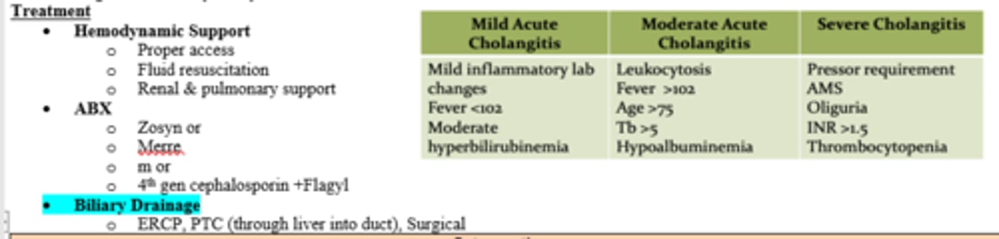 <p>Hemodynamic support, Abx, and biliary drainage (ERCP, PTC, or surgery) </p>