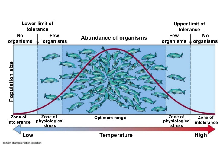 <p>Illustrates the range of survival for a species or population</p><p>survive, grow, and reproduce → survive and grow → survive</p>