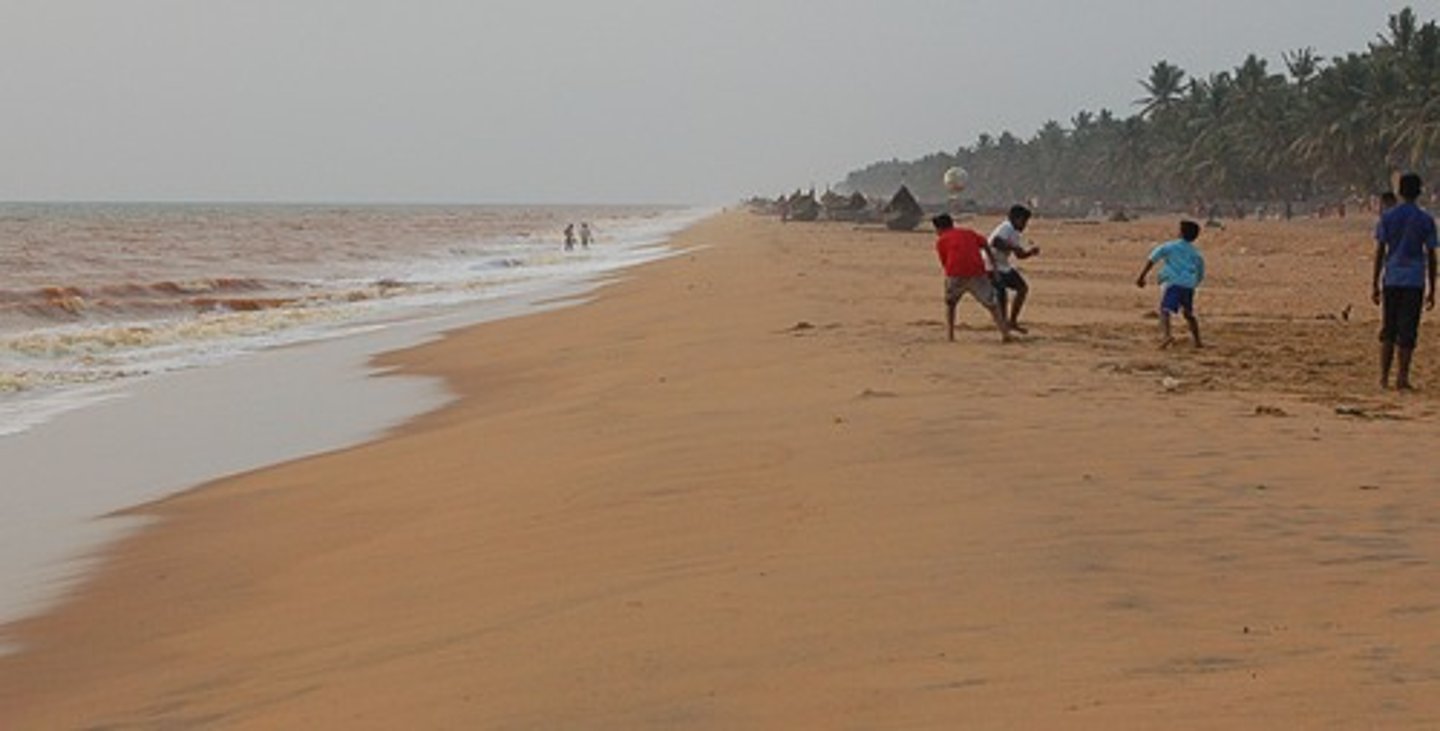<p>beaches made from the ocean; soil formed in forests</p>