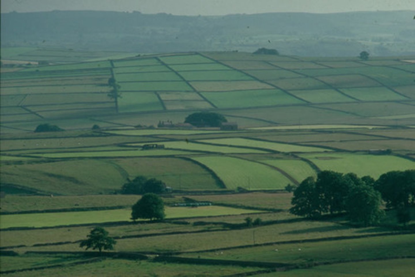 <p>An act of the English Parliament that let wealthy land owner enclose their lands, destroying the livelihood of many small farmers forcing them to become day laborers for the wealthy.</p>