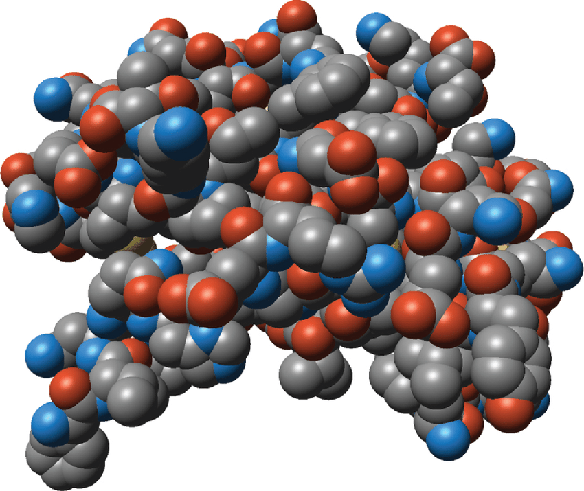 → Protein Model

* Contoured map of proteins surface
* Shows what amino acids are exposed on surface
* Shows how protein might look like to a smaller molecule