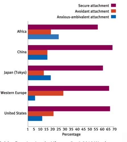 <p>Attachment to primary caregiver is universal - worldwide similar % securely attached, but some cultural differences.</p><ul><li><p>In Japan infants more likely to be distressed</p></li><li><p>In Germany more insecure-avoidant</p></li></ul>