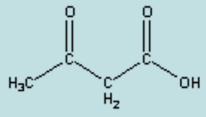 <p>name</p>