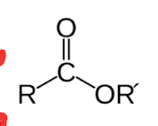 <p>carbon double bonded to an oxygen, and bonded to an oxygen </p>