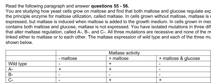 <p><span>56. For gene C</span><br><span>A. It affects regulation by maltose and it is a positive regulator</span><br><span>B. it affects regulation by maltose and it is a negative regulator</span><br><span>C. it affects regulation by glucose and it is a positive regulator</span><br><span>D. it affects regulation by glucose and it is a negative regulator</span></p>