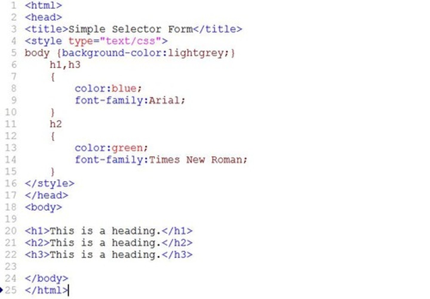 <p>Cascading Style Sheets for styling web pages.</p>