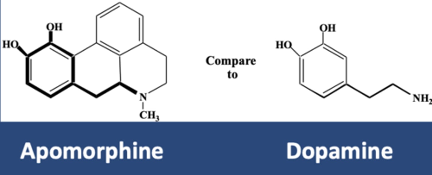 <p>-Dopamine agonist for PD</p><p>-Used in off periods of L-DOPA</p>