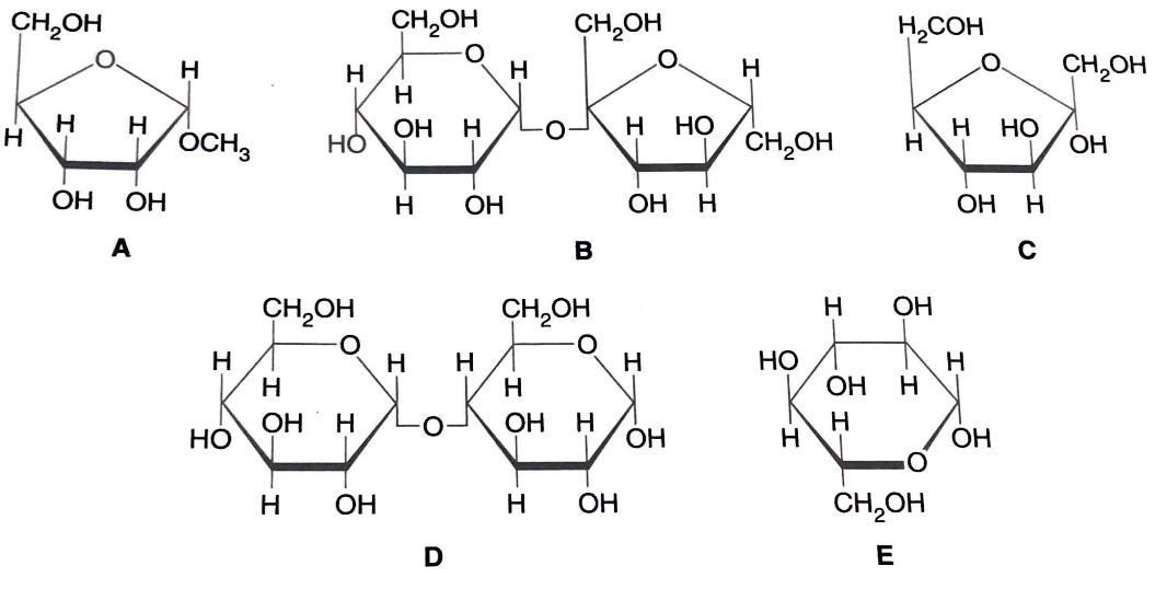 <p>contain or are pentoses = A is the disaccharide sucrose = B is a monosaccharide containing a B-anomeric carbon = E is a ketose monosaccharide = C</p>