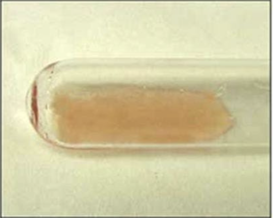 <p>Haemagglutination reaction</p>