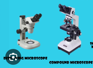 <p>Compound Microscope vs. Dissecting Microscope</p>
