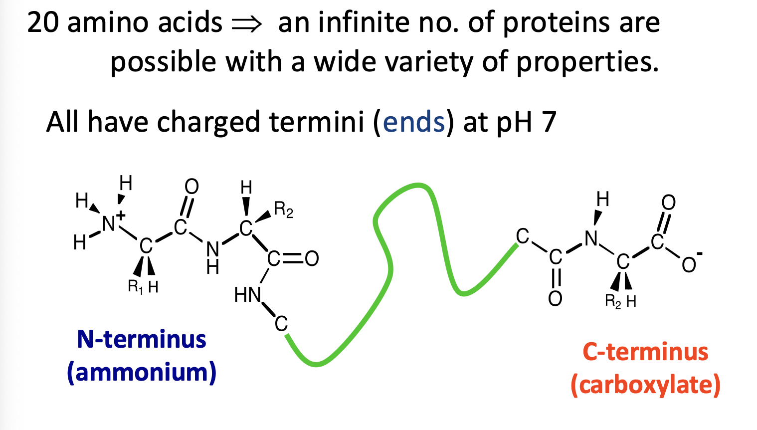 <p>Always from N to C terminus.</p><p>Always charged.</p>
