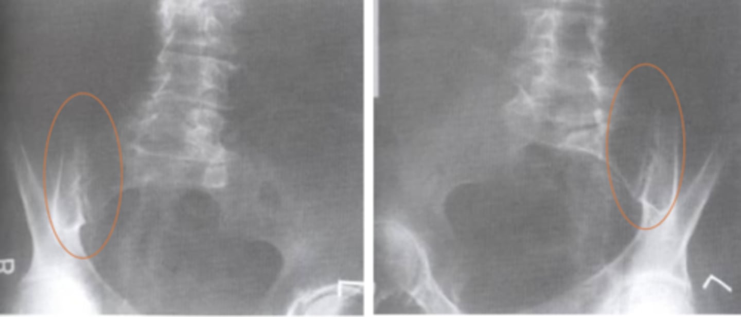 <p>What view is this?</p>