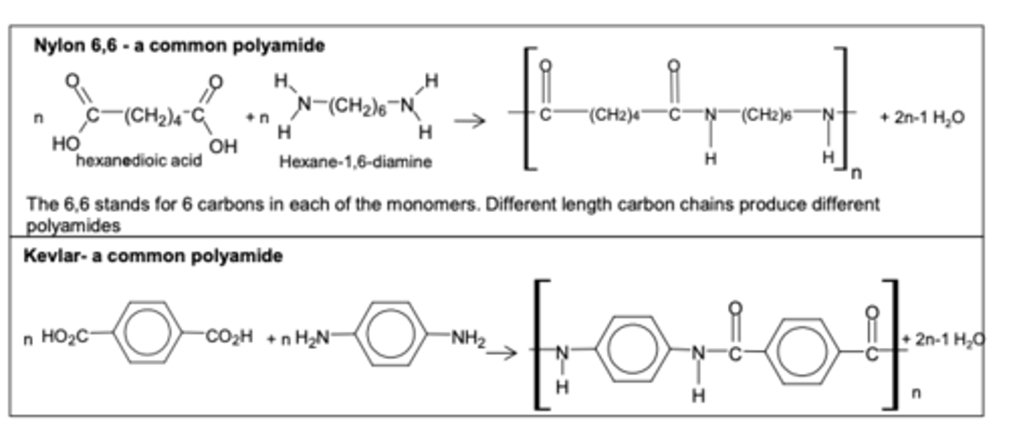 <p>- made from dicarboxylic acids and diamines</p><p>- e.g nylon-6,6 and kevlar</p><p>- amino acids are also used as the monomers as they contain both the amine and carboxylic functional group</p><p>- forms polypeptides (proteins)</p><p>kevlar is beneneze 1,4 - dicarboxylic and 1,4 diaminoebeneze</p>