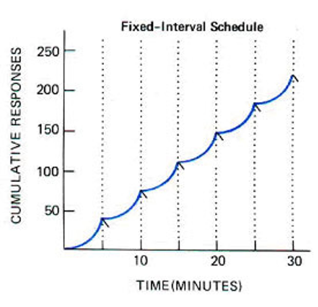 <p>reinforces a response only after a specified amount of time has elapsed</p>