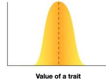 <p>intermediate phenotype have highest fitness</p>