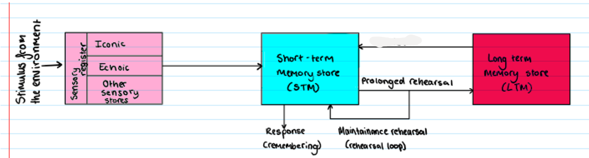 <p><strong>Multi Store Model</strong></p><p>what is missing?</p>