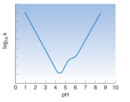 <p>What it this kink called? Why does it happen?</p>
