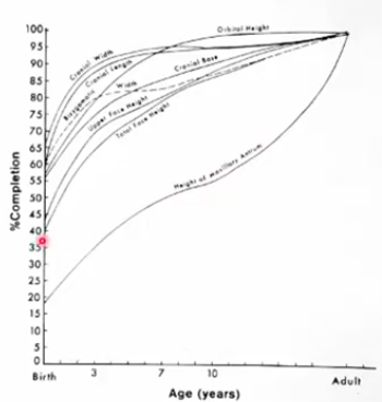 <p>-all cranial dimensions are more advanced than the facial dimensions except cranial base dimension in early age</p>