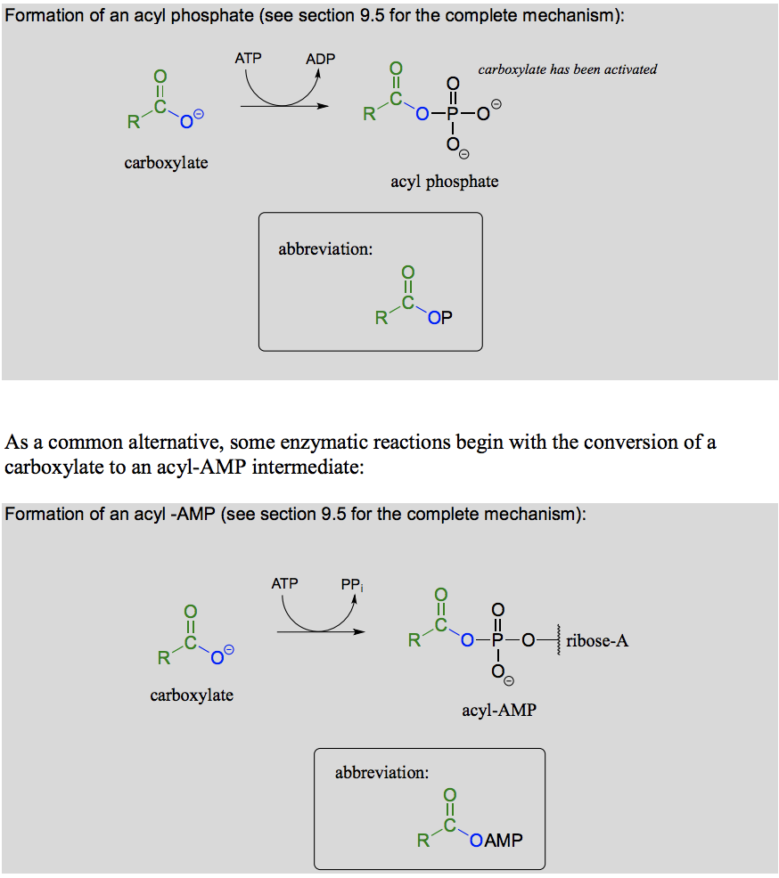 <p><span>What reaction is this? What is happening mechanistically? What is the energy balance like (endergonic/exergonic) ?</span></p>