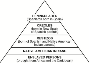 <p>The encomienda and slavery systems both contributed to which of the following developments?</p>