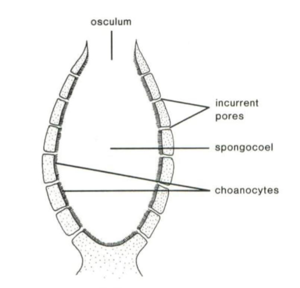 <p>What canal system is this?</p>