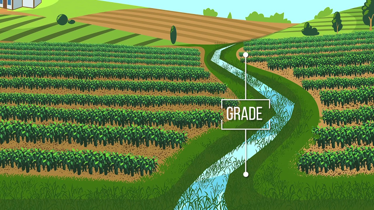 <p>BMP - Grassed waterways</p>