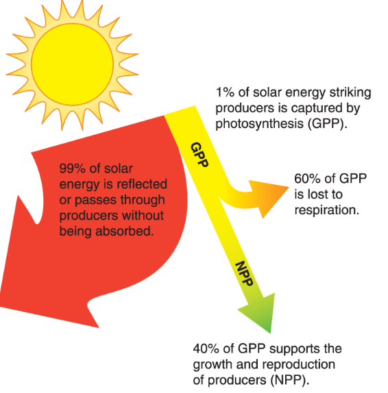 <p>total amount of solar energy captured over a given period of time</p>