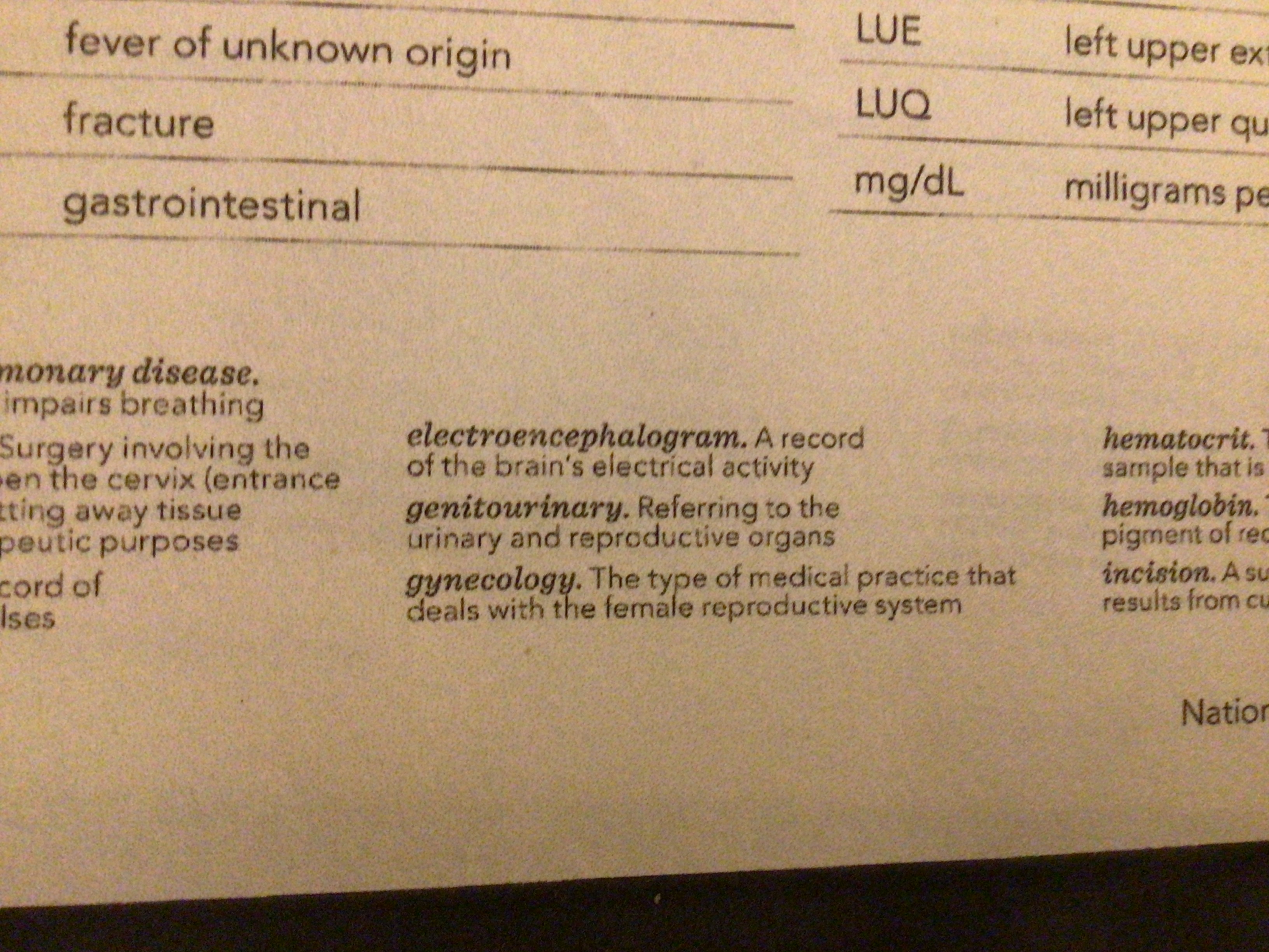 Electroencephalogram 