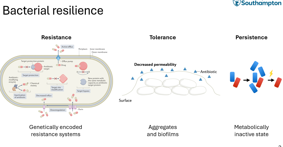<p>RESISTANCE </p><ul><li><p>implies genetically encodes systems </p></li><li><p>includes mutation, modification </p></li><li><p>E.g: active efflux —&gt; mechanism to ensure that AB doesn’t see target, bacteria produces a target for the AB so that it doesn’t bind to it </p><p></p></li></ul><p>TOLERANCE </p><ul><li><p>bacteria grows in biofilm to produce a physcial barrier so AB cant penetrate </p><p></p></li></ul><p>PERSISTANCE </p><ul><li><p>bateria can eneter a dormant state so that they can survive stressful conditions </p></li></ul><p></p>