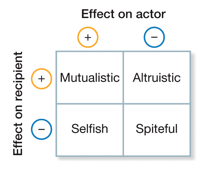 conflict