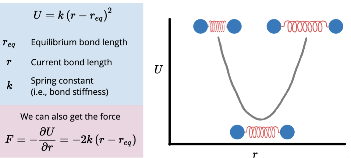 <p>Spring constants are therefore determined by bond order and atom types.</p><p>Bond angles behave like harmonic oscillators, having separate spring constants for bond angles.</p><ul><li><p>V = k(0i - 0eq)²</p></li></ul><p></p>
