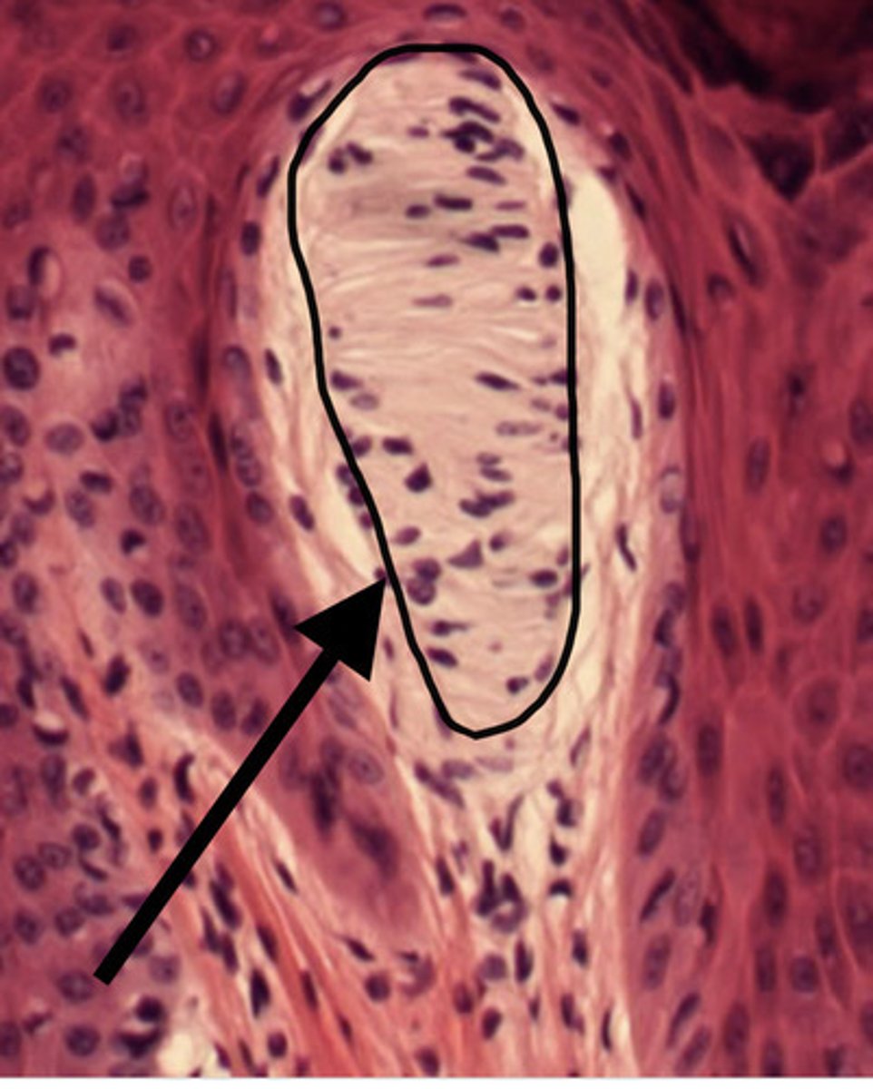 <p>what is this called?</p>