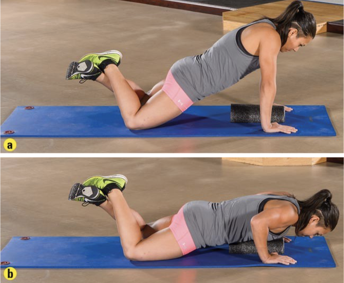 <p>push up test according to ACSM for females is as many reps as possible until _____</p>