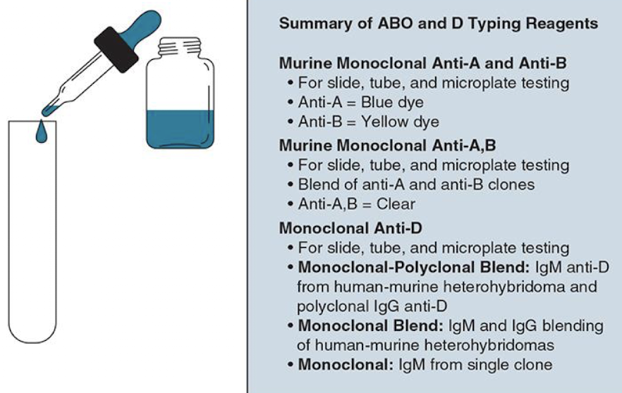 <ul><li><p>Reagents are formulated to give a strong reaction (3+ to</p><p>4+) </p></li><li><p>Testing is performed in the <strong>immediate-spin (IS) phase</strong></p></li><li><p>Confirmation testing to check expected ABO Abs</p></li></ul><p></p>