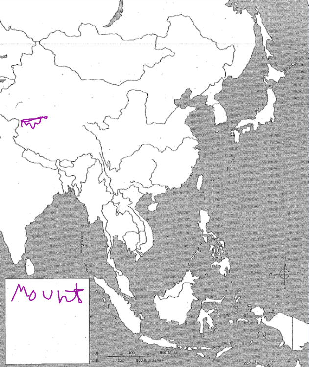 term image
