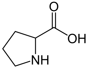 <p>Pro, P<br>nonpolar, uncharged</p>