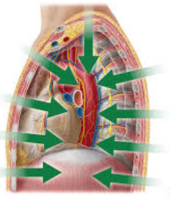 <p>Further away from the surface of the body.</p>