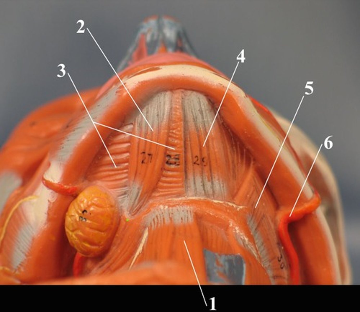 <p>2</p>