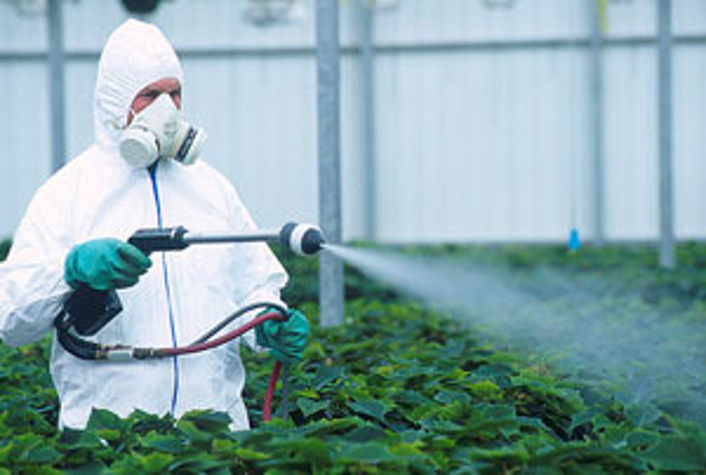 <p>n. /ˈpestɪsaɪd/ thuốc trừ sâu</p><p>vegetables grown without the use of pesticides</p>