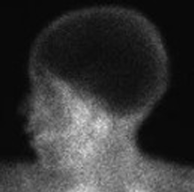 <p>What type of study is this?</p>